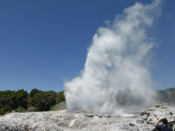 Pohutu geyser