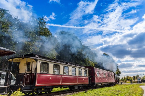 Molli train
